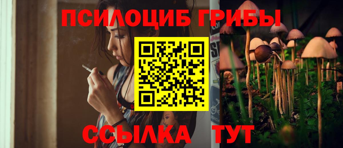 Галлюциногенные грибы GOLDEN TEACHER  Вход с VPN  Урюпинск 